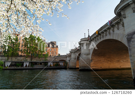 Bridge of Alexandre III, Paris, France 126718260