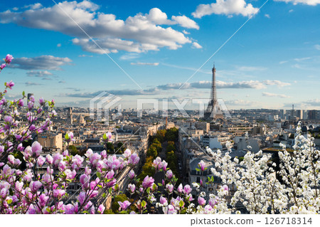eiffel tour and Paris cityscape 126718314