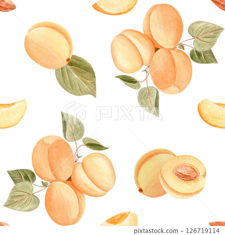 Apricots on a branch with green leaves vintage-style watercolor seamless pattern isolated on white. Perfect for retro-inspired packaging, cosmetics labels, eco branding, summer-themed product designs 126719114