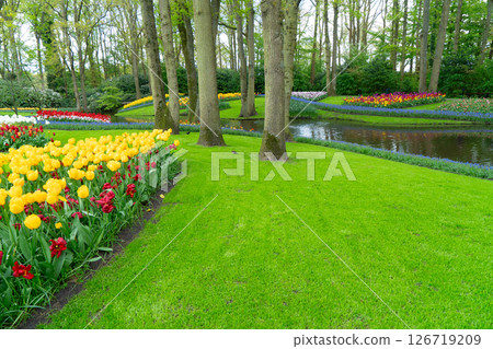 A vibrant and colorful flower garden reflects beautifully in the calm waters, which are surrounded by lush green trees 126719209