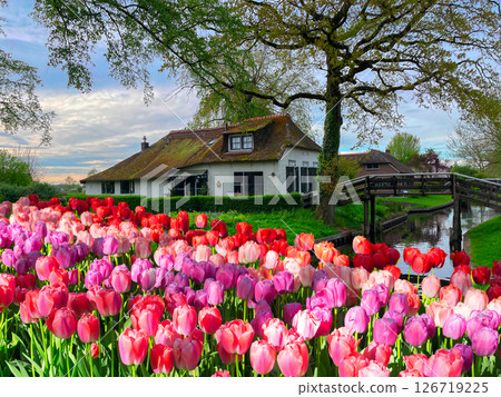 skyline of old town Giethoorn 126719225