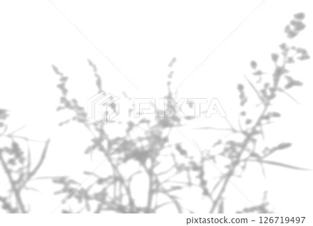 The shadow of the field grass on the white wall. A black and white image to overlay on a photo or mockup 126719497