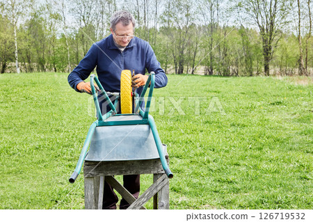 Farm worker fitting solid polyurethane wheel onto utility cart to ensure smooth operation and long-lasting performance for gardening activities. 126719532