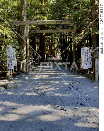 Tsubaki Grand Shrine - The torii gate and approach to Tsubaki Grand Shrine are bathed in sunlight filtering through the trees Tsubaki Grand Shrine - The torii gate and approach to Tsubaki Grand Shrine are bathed in sunlight filtering through the trees 126719557