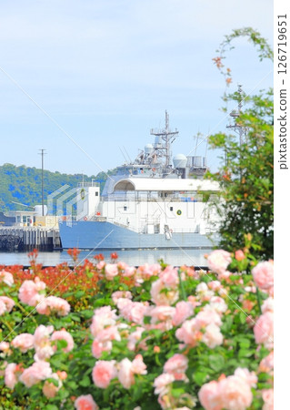 Yokosuka Verny Park Rose Garden Yokosuka Verny Park Rose Garden 126719651