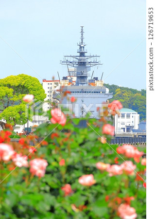 橫須賀維爾尼公園玫瑰園 橫須賀維爾尼公園玫瑰園 126719653