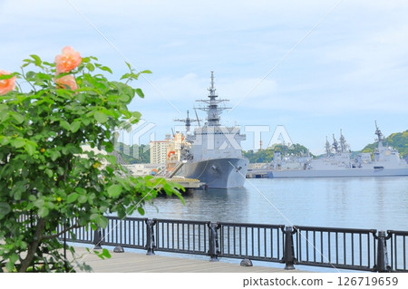 橫須賀維爾尼公園玫瑰園 126719659