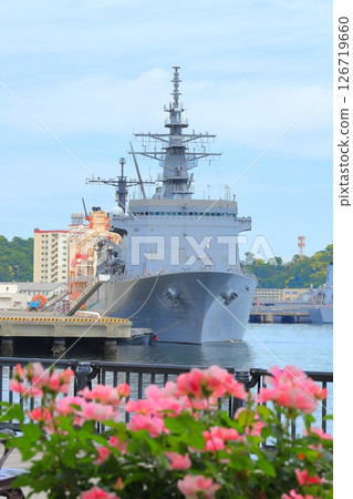Yokosuka Verny Park Rose Garden 126719660