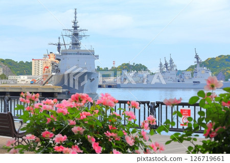 Yokosuka Verny Park Rose Garden 126719661