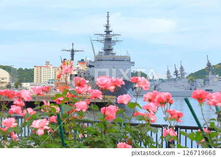 Yokosuka Verny Park Rose Garden 126719668