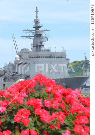 橫須賀維爾尼公園玫瑰園 126719678