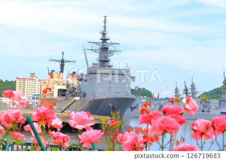 橫須賀維爾尼公園玫瑰園 126719683