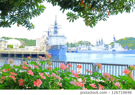 橫須賀維爾尼公園玫瑰園 126719696