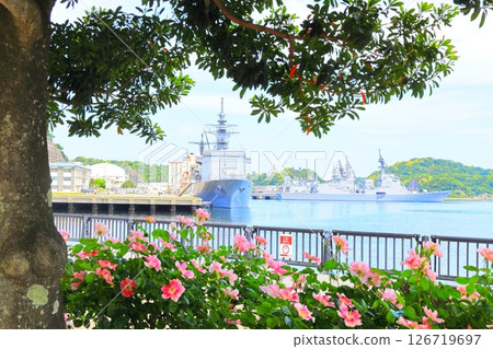 Yokosuka Verny Park Rose Garden Yokosuka Verny Park Rose Garden 126719697