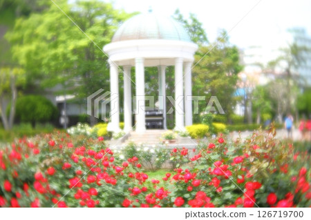Yokosuka Verny Park Rose Garden 126719700