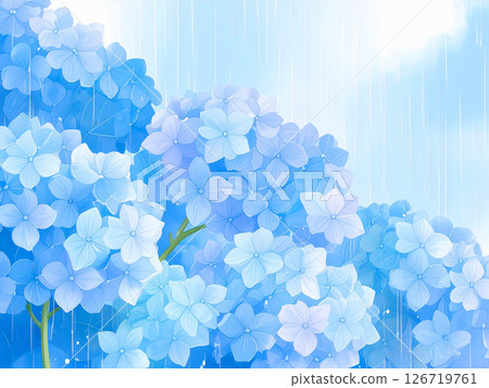 繡球花雨季 126719761