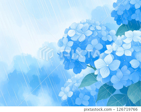 Hydrangea rain rainy season 126719766