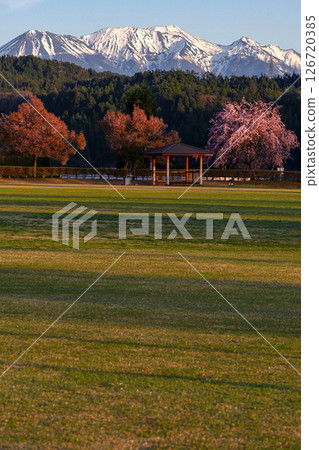 250424 廣野 g006 250424 廣野 g006 126720385