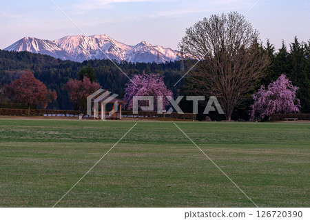 250424 廣野 g017 126720390