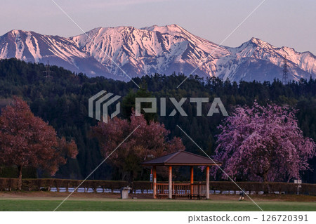 250424 廣野 g018 250424 廣野 g018 126720391