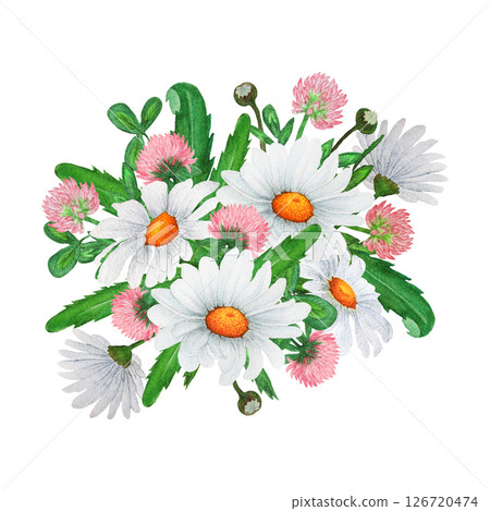 Watercolor composition of a bouquet of daisies, clover and grass. Design of greeting cards, invitations 126720474
