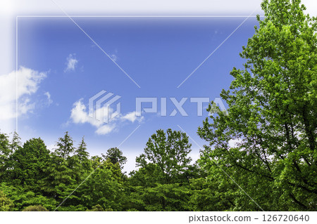 Frame of fresh green leaves, blue sky and white clouds Frame of fresh green leaves, blue sky and white clouds 126720640