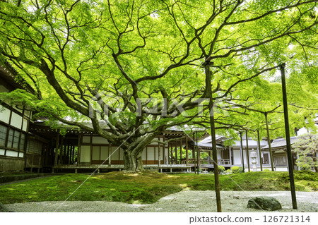 Raizan Senryoji Temple with beautiful fresh greenery (Itoshima City, Fukuoka Prefecture) 126721314
