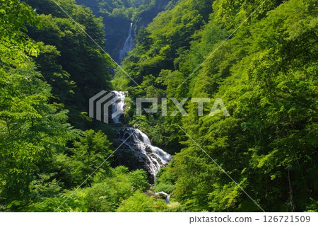 夏季石川谷的精進瀑布和九段瀑布 126721509