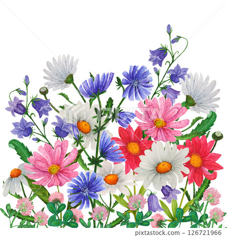 Watercolor border of hand painted colorful wildflowers and botanical greenery. Design for invitation, cards, textile and wallpaper 126721966