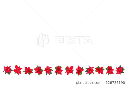 紅色一品紅③ 126722190