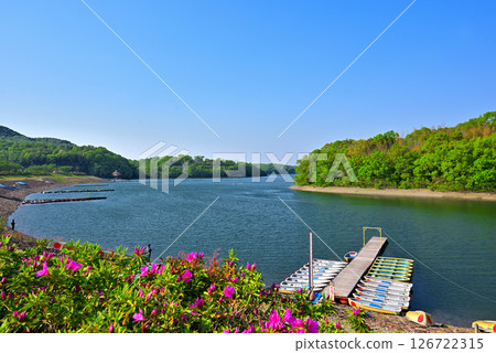 [Aichi Prefecture] Inuyama City: Fresh greenery at Iruka Pond 126722315
