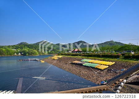 [Aichi Prefecture] Inuyama City: Fresh greenery at Iruka Pond 126722318