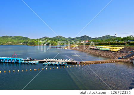 [Aichi Prefecture] Inuyama City: Fresh greenery at Iruka Pond 126722325