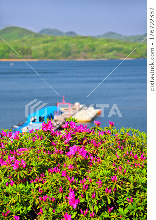 [愛知縣]犬山市：入鹿池的新綠 126722332