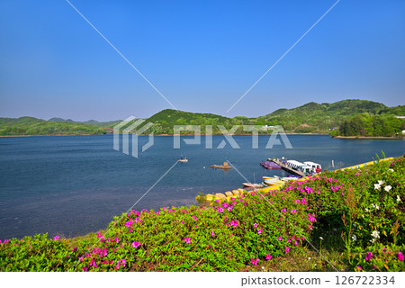 [愛知縣]犬山市：入鹿池的新綠 126722334