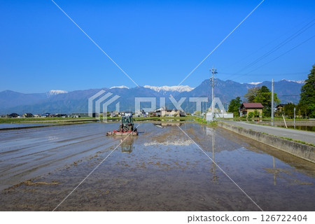 [Puddling] Paddy fields and the Northern Alps [Ikeda Town, Kitaazumi District] 126722404