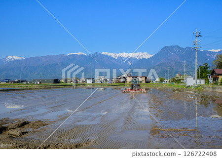 [Puddling] Paddy fields and the Northern Alps [Ikeda Town, Kitaazumi District] 126722408