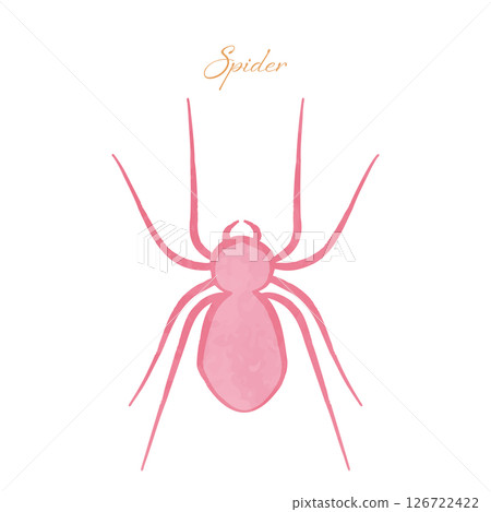 Cute girly spider illustration Cute girly spider illustration 126722422
