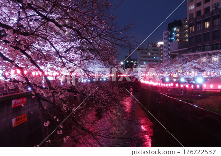 Illuminated cherry blossoms at night Illuminated cherry blossoms at night 126722537
