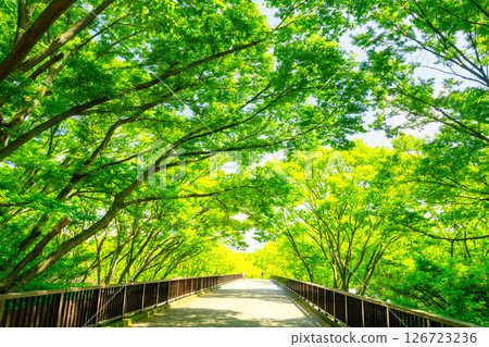 初夏的東京代代木公園 初夏的東京代代木公園 126723236