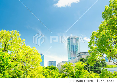 Yoyogi Park and Shibuya high-rise apartments in early summer, Tokyo 126723238