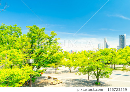 Yoyogi Park in early summer, Tokyo 126723239