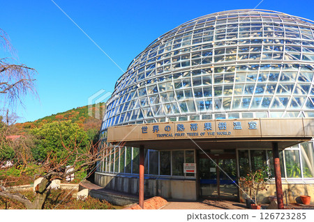 愛知縣名古屋市東屋山水果公園風景 126723285