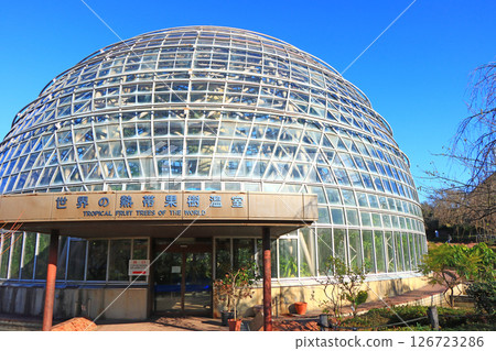 愛知縣名古屋市東屋山水果公園風景 126723286