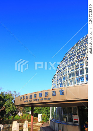 Scenery of Higashiyayama Fruit Park, Nagoya City, Aichi Prefecture 126723289
