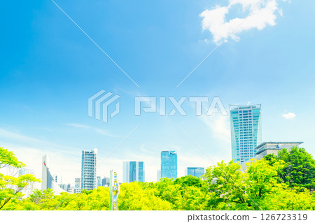 Yoyogi Park and Shibuya high-rise apartments in early summer, Tokyo 126723319