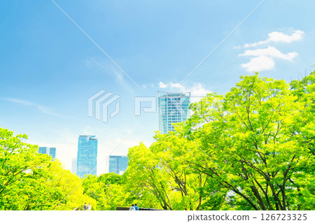 Yoyogi Park and Shibuya high-rise apartments in early summer, Tokyo 126723325
