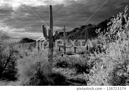 San Tan Mountains Sonora Desert Arizona Monochrome San Tan Mountains Sonora Desert Arizona Monochrome 126723374