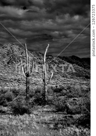 San Tan Mountains Sonora Desert Arizona Monochrome San Tan Mountains Sonora Desert Arizona Monochrome 126723375