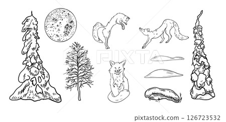 Foxes and coniferous forest hand drawn black white outline vector set illustration. Wild animals with fir trees, bare tree, full moon and snowdrift for winter woodland scene and Christmas landscape. Foxes and coniferous forest hand drawn black white outline vector set illustration. Wild animals with fir trees, bare tree, full moon and snowdrift for winter woodland scene and Christmas landscape. 126723532